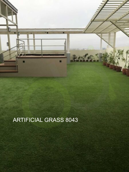 Artificial Turf (3)